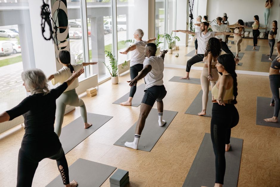 Students flowing through a vinyasa sequence in warm morning light